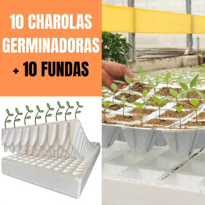 10 CHAROLAS + 10 FUNDAS GERMINADORAS