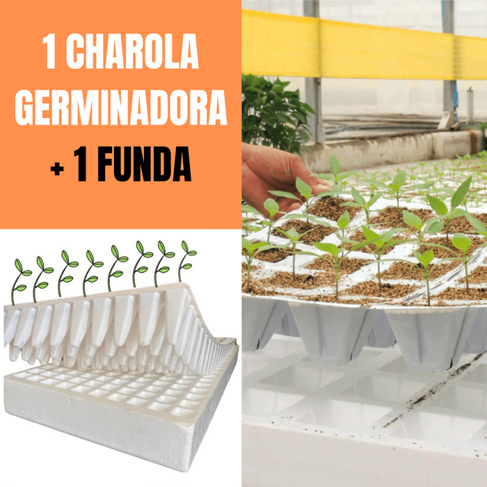 1 CHAROLA + 1 FUNDA GERMINADORA