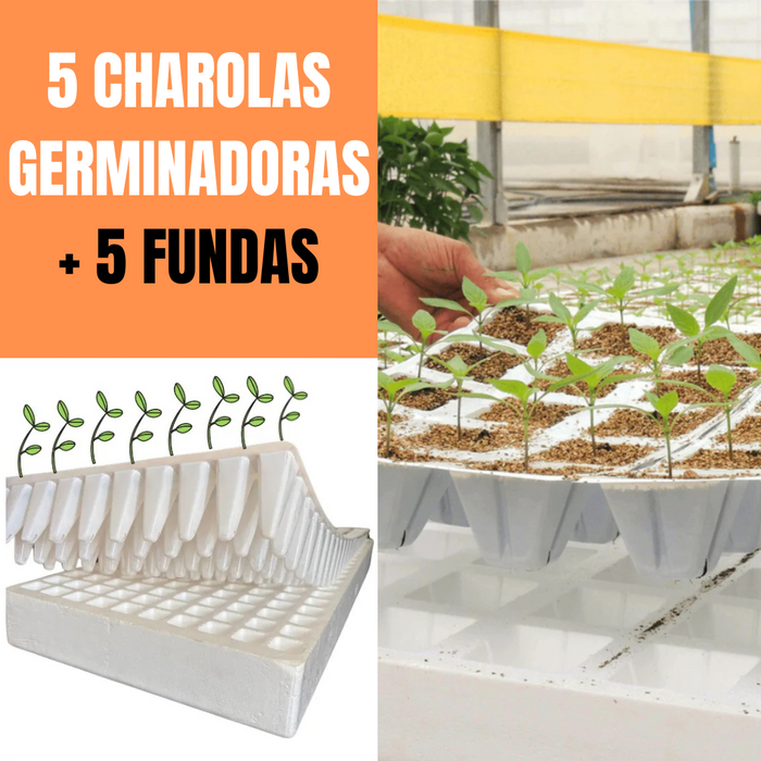 5 CHAROLAS + 5 FUNDAS GERMINADORAS