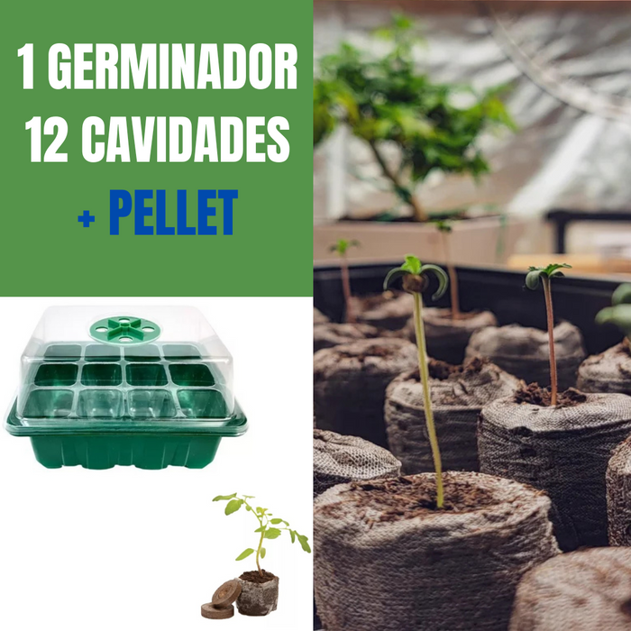 GERMINADOR + DOMO 12 CAVIDADES + PELLET