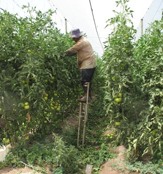 KIT DE REPUESTO PARA ZANCOS 3 PARES DE CORREAS + SUELAS DE GOMA