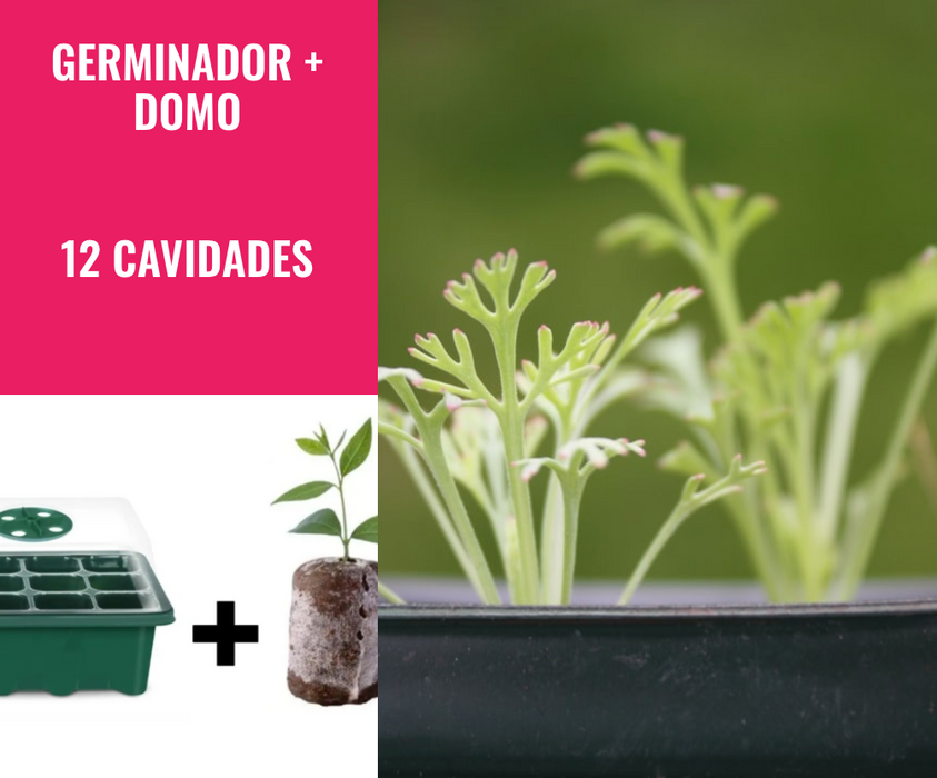 GERMINADOR + DOMO 12 CAVIDADES + PELLET