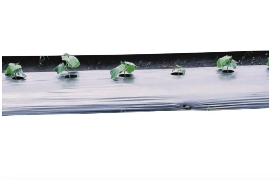 ACOLCHADO CAL90  1.20 X 100m LISO