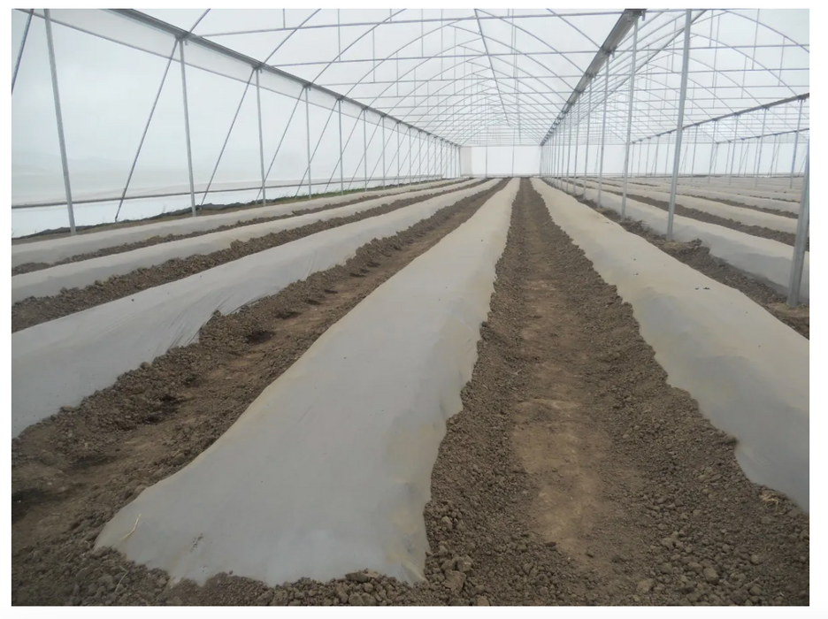 ACOLCHADO CAL90  1.20 X 100m LISO