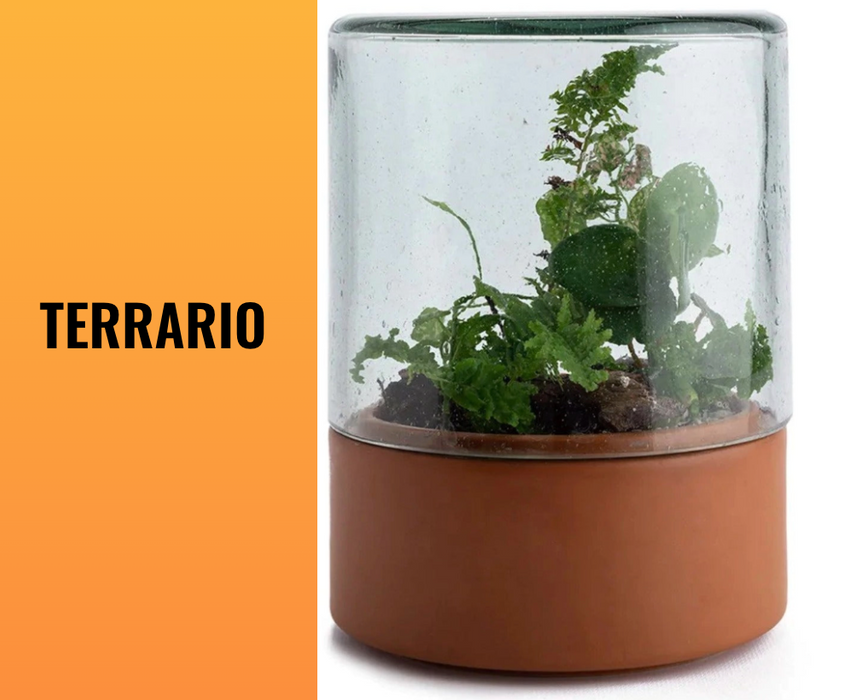 TERRARIO