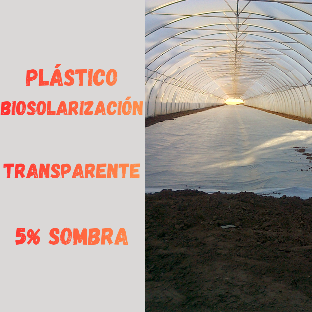 PLÁSTICO 5% BIOSOLARIZACIÓN
