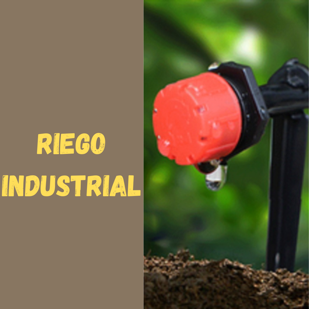 RIEGO 16mm