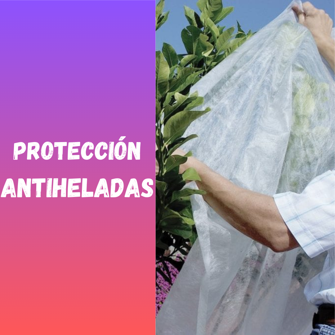 PROTECCIÓN INVERNAL ANTI HELADAS