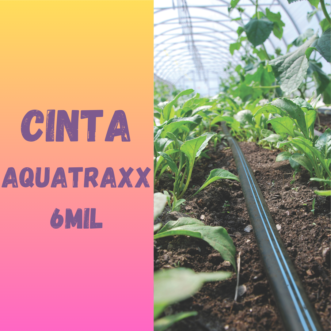 CINTA DE RIEGO