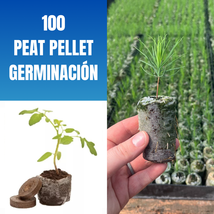 100 PEAT PELLET GERMINACIÓN