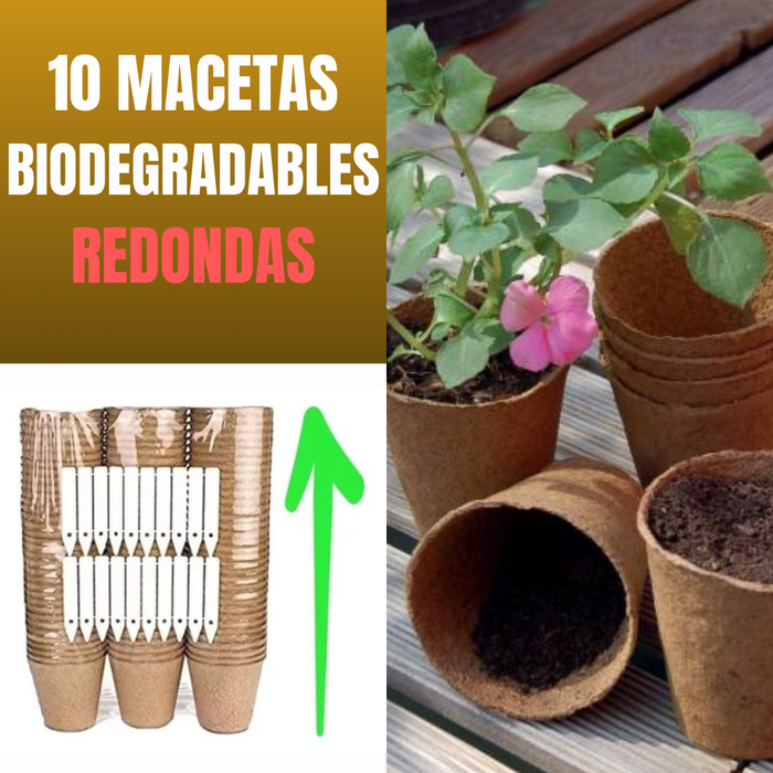 10 MACETAS BIODEGRADABLES JUMBO REDONDAS + INDICADOR