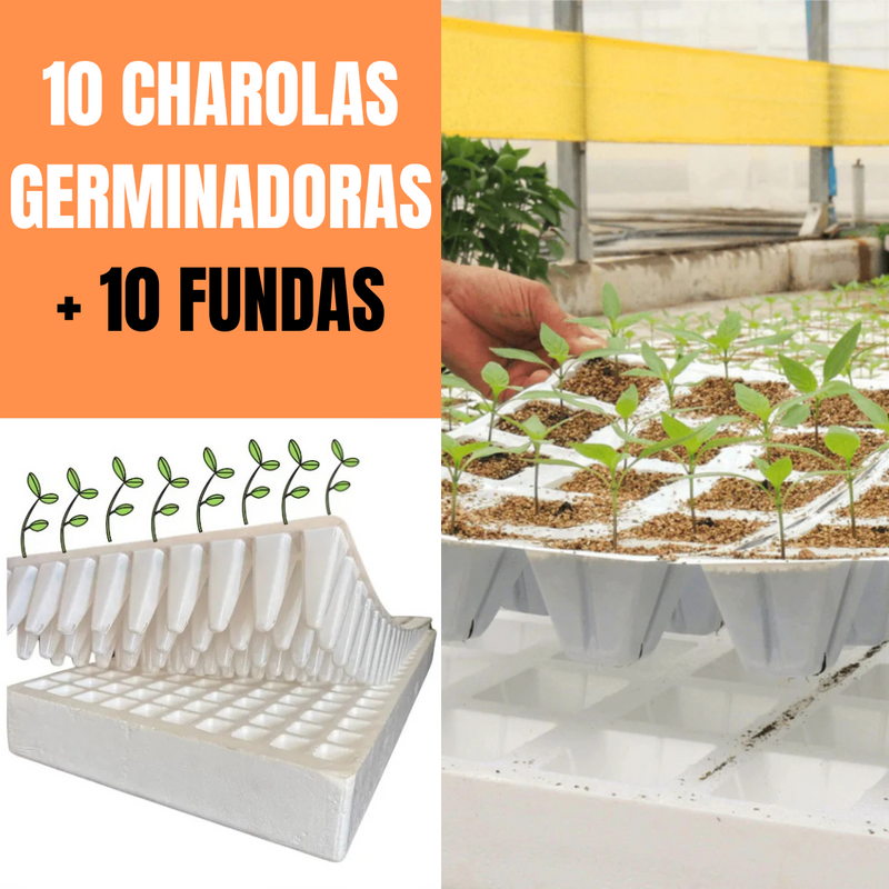 10 CHAROLAS + 10 FUNDAS GERMINADORAS