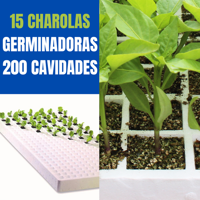 15 CHAROLA GERMINADORA 200 CAVIDADES