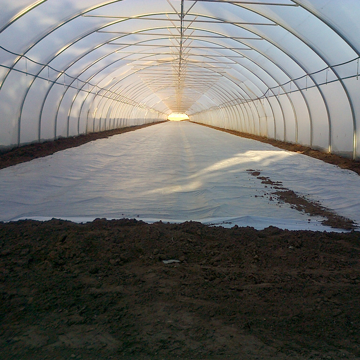 PLÁSTICO BIOSOLARIZACIÓN 4.20m X 200m - 5% SOMBRA