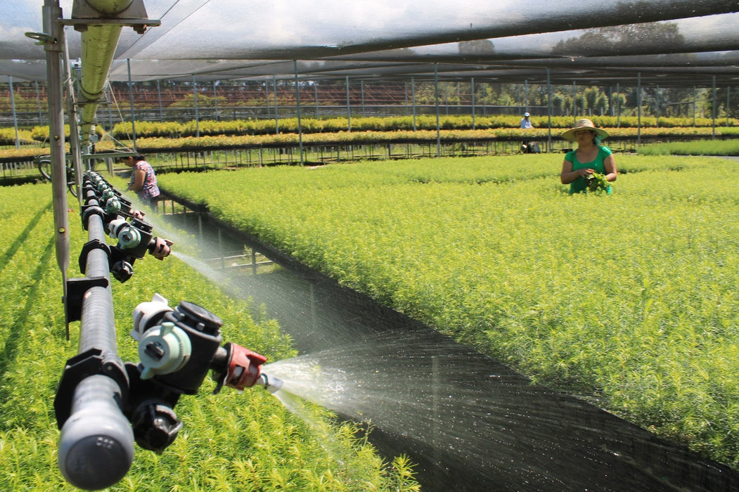 FILTRO DISCO TEE 1 - 1/2" + ADAPTADORES + REPUESTO EXTRA