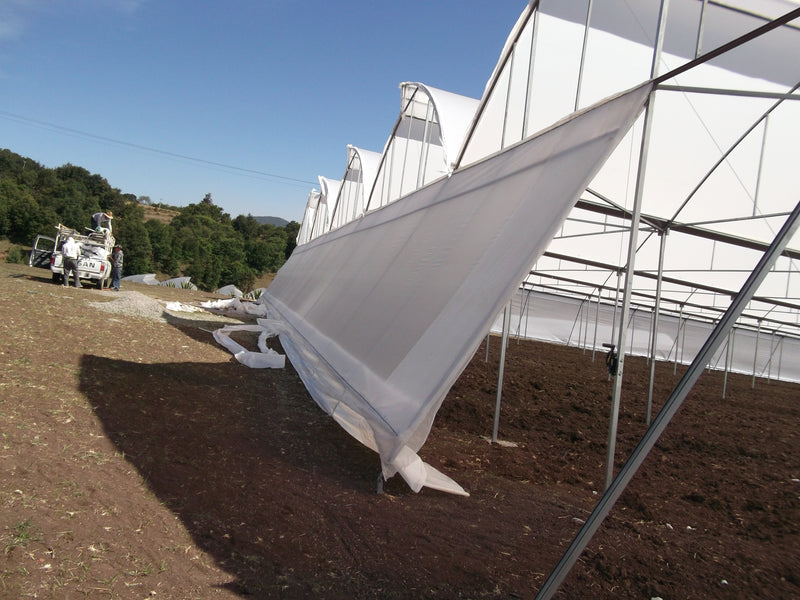 PLÁSTICO INVERNADERO 8.40m x 5m - 25% SOMBRA
