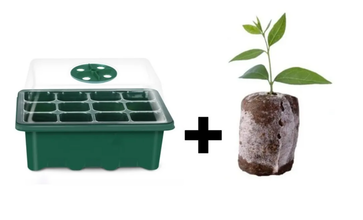 GERMINADOR + DOMO 12 CAVIDADES + PELLET