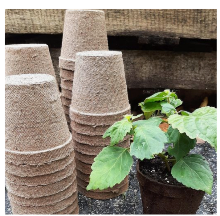 10 MACETAS BIODEGRADABLES JUMBO REDONDAS + INDICADOR