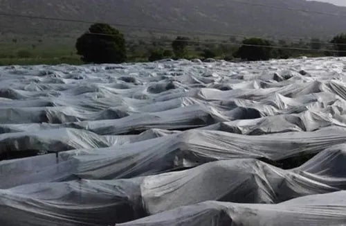 TELA ANTIHELADAS - GRANIZO 2.10M X 25M